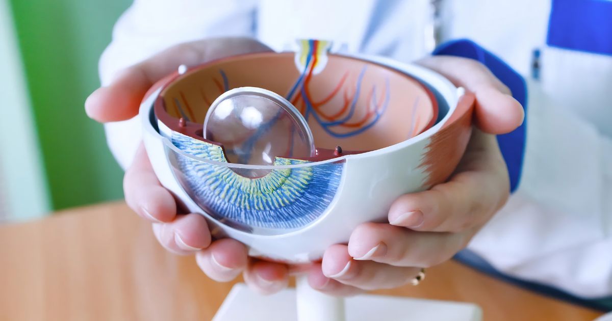 Cirurgia de Glaucoma em Vila Velha: como proteger sua visão e evitar a perda definitiva